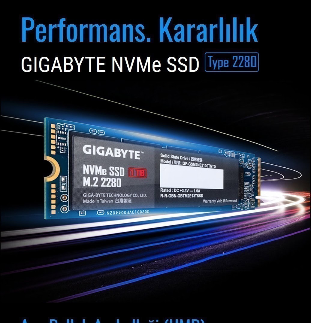 GIGABYTE 1TB GP-GSM2NE3100TNTD NVMe M.2 SSD (2500MB Okuma / 2100MB