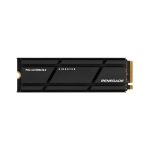 Kingston Renegade 1TB PCIe NVMe Okuma 7300MB-Yazma 6000MB M.2 SSD (SFYRSK/1000G)