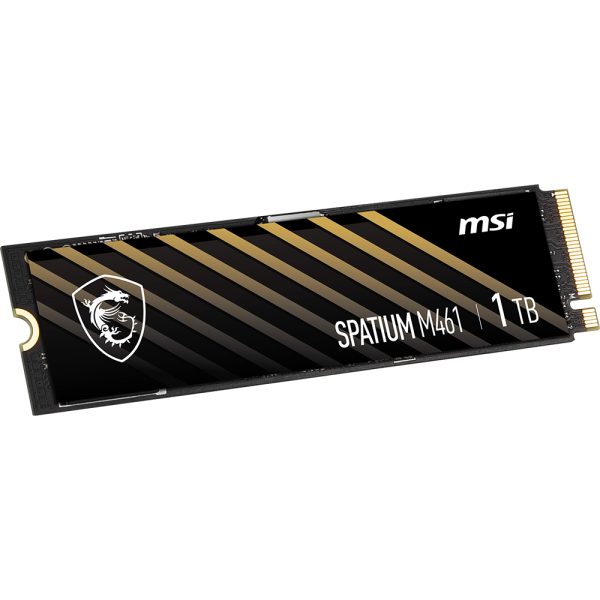 Msi Spatium M461 1tb Nvme Okuma 3500 Yazma W5000 M 2 Ssd 2