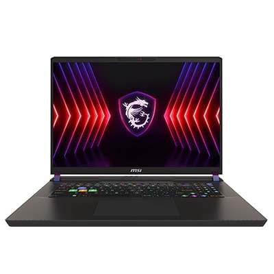 MSI VECTOR 17 HX A13VIG-674XTR Gaming Laptop a1
