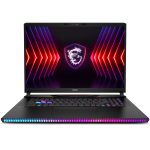 MSI RAIDER GE78 HX 14VHG-659TR Intel Core i9-14900HX 64GB DDR5 2TB SSD RTX4080 12GB 17 inç QHD+ 240Hz W11 Pro Gaming Laptop