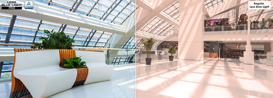 MSI PRO MP243X Monitör h5