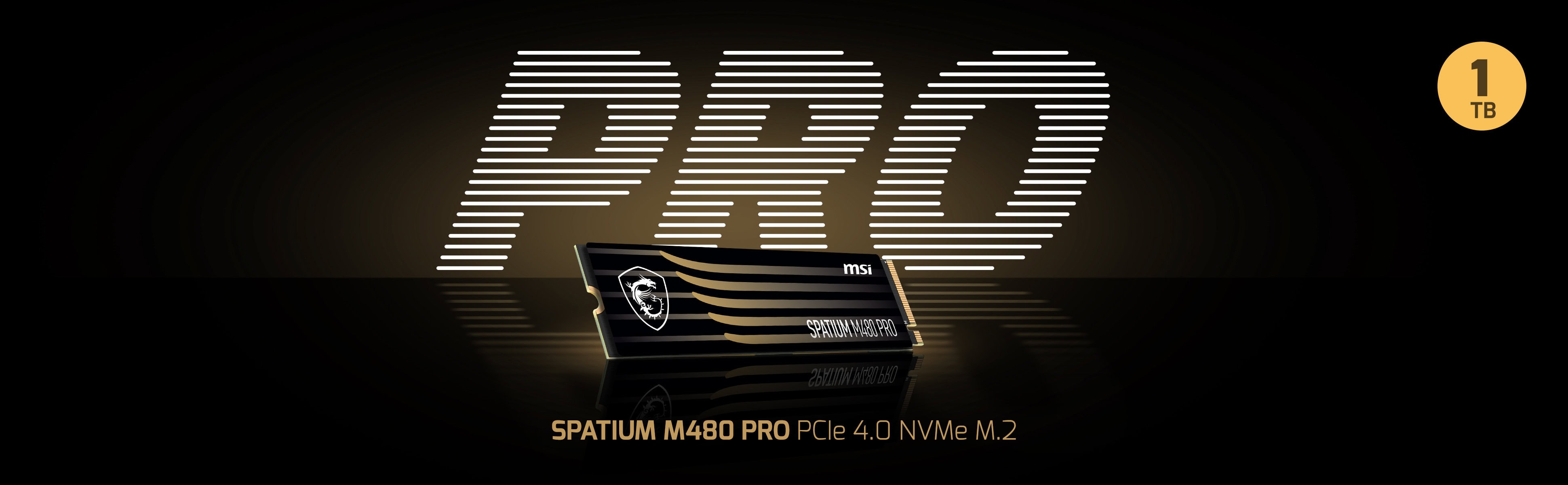 MSI Spatium M480 Pro 1TB SSD a3