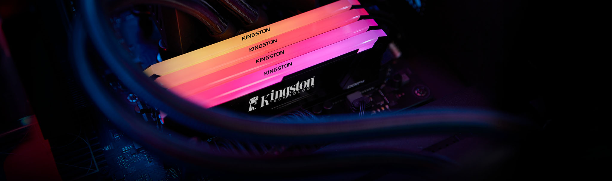 Ram Intel Rgb Kingston Beast RGB 16GB 3600MHz CL18 INTEL XMP DDR4 Ram (KF436C18BB2A ...
