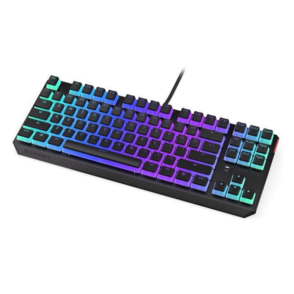Endorfy Thock Tkl Pudding Kailh Red Switch Rgb Ingilizce Mekanik Kablolu Siyah Gaming Klavye Ey5a006 2