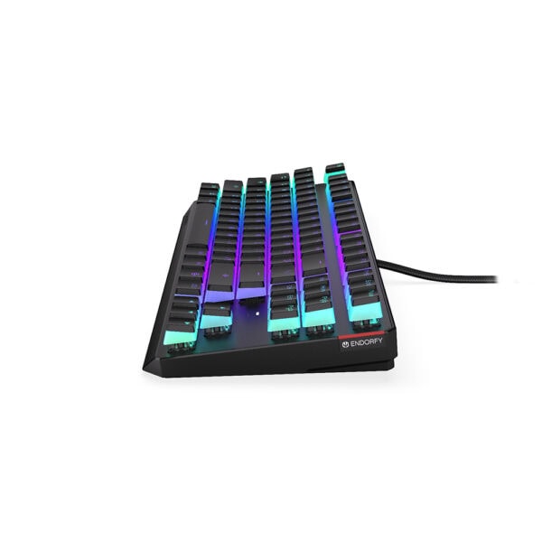 Endorfy Thock Tkl Pudding Kailh Red Switch Rgb Ingilizce Mekanik Kablolu Siyah Gaming Klavye Ey5a006 4