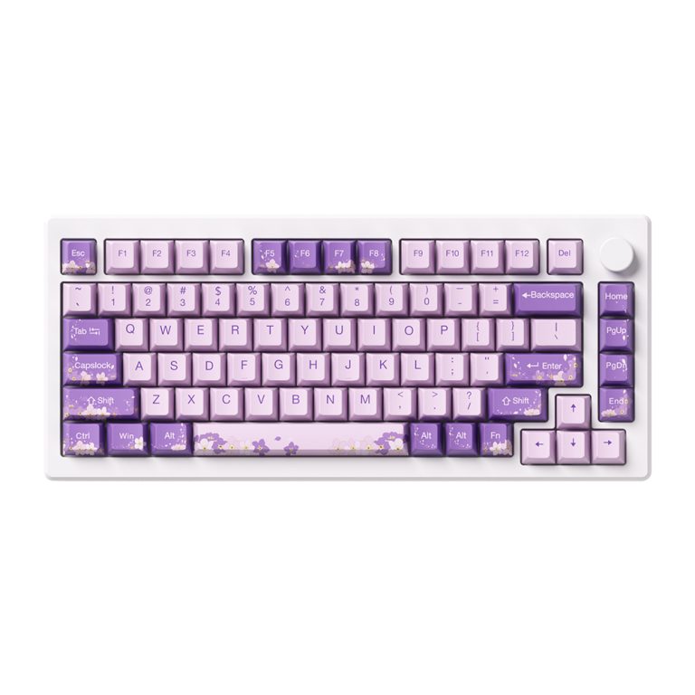 AKKO MOD 007 HE PC Purple Melody Hall Effect Manyetik Switch RGB ...