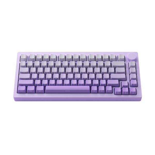 Akko Monsgeek M1w V3 He Sp Purple Gradiant Hall Effect Manyetik Switch Rgb Kablosuz Hotswap Mekanik Gaming Klavye Y4