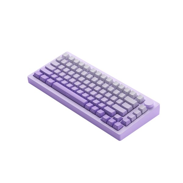 Akko Monsgeek M1w V3 He Sp Purple Gradiant Hall Effect Manyetik Switch Rgb Kablosuz Hotswap Mekanik Gaming Klavye Y5