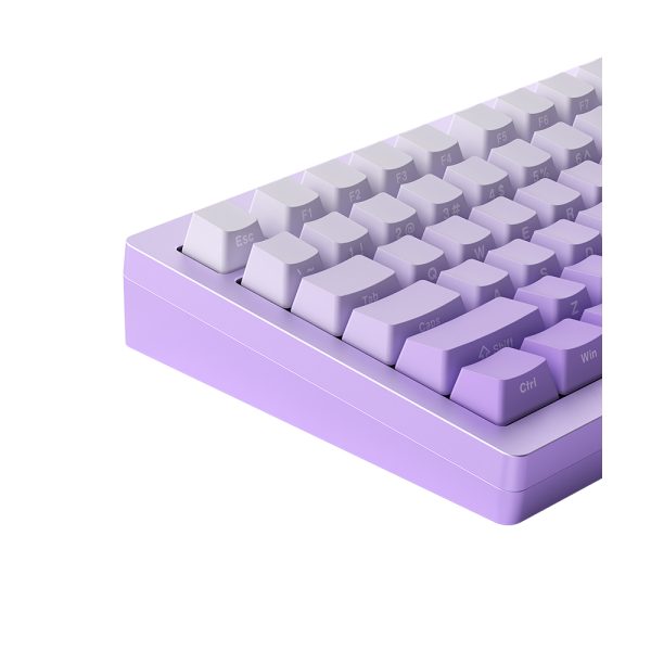 Akko Monsgeek M1w V3 He Sp Purple Gradiant Hall Effect Manyetik Switch Rgb Kablosuz Hotswap Mekanik Gaming Klavye Y8