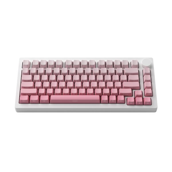 Akko Monsgeek M1w V3 He Sp Silver Gradiant Hall Effect Manyetik Switch Rgb Kablosuz Hotswap Mekanik Gaming Klavye Y4