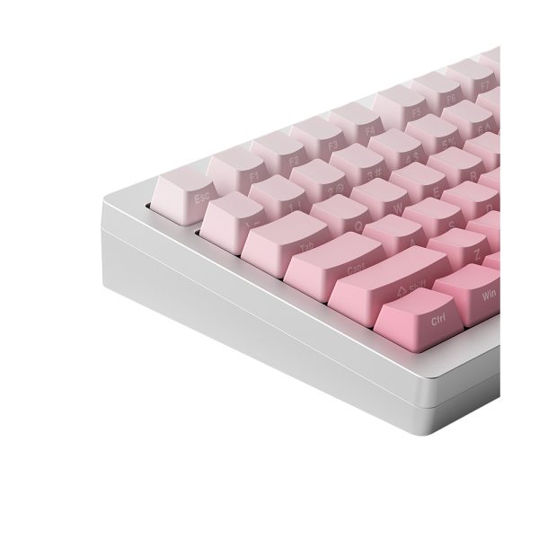 Akko Monsgeek M1w V3 He Sp Silver Gradiant Hall Effect Manyetik Switch Rgb Kablosuz Hotswap Mekanik Gaming Klavye Y8