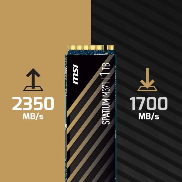 MSI SPATIUM M371 1TB M.2 SSD h2