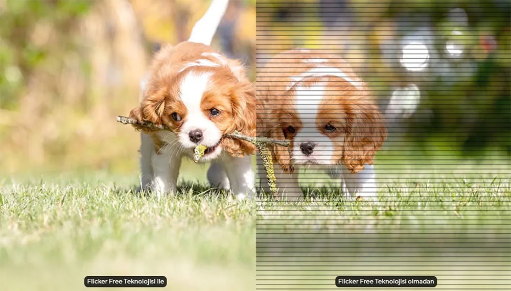 ASUS VU249CFE-G Monitör H12