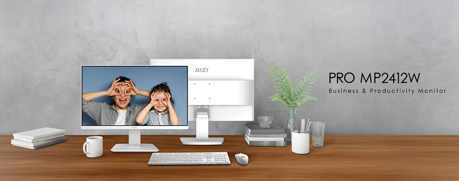 MSI PRO MP2412W Monitör H2