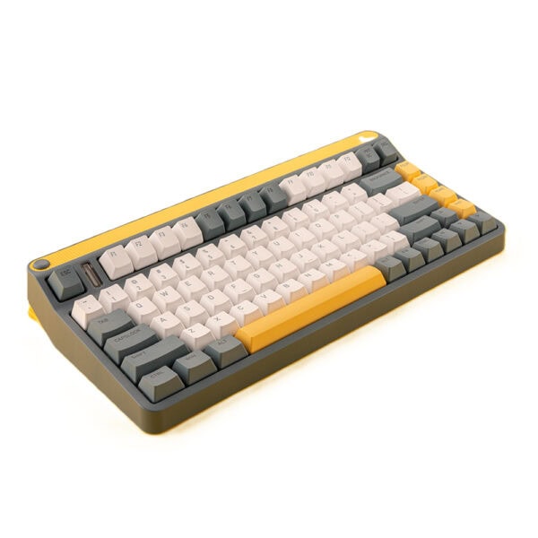 Iqunix A80 Explorer Costar Stabilizer Rgb Kablosuz Hotswap Mekanik Gaming Klavye 4