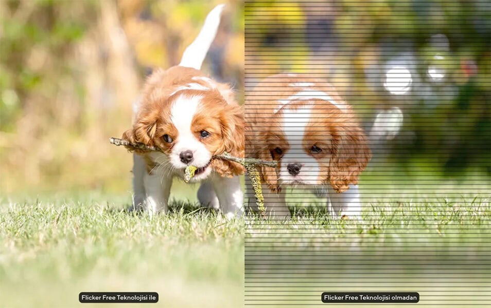 ASUS VU249HFI-W Monitör h13