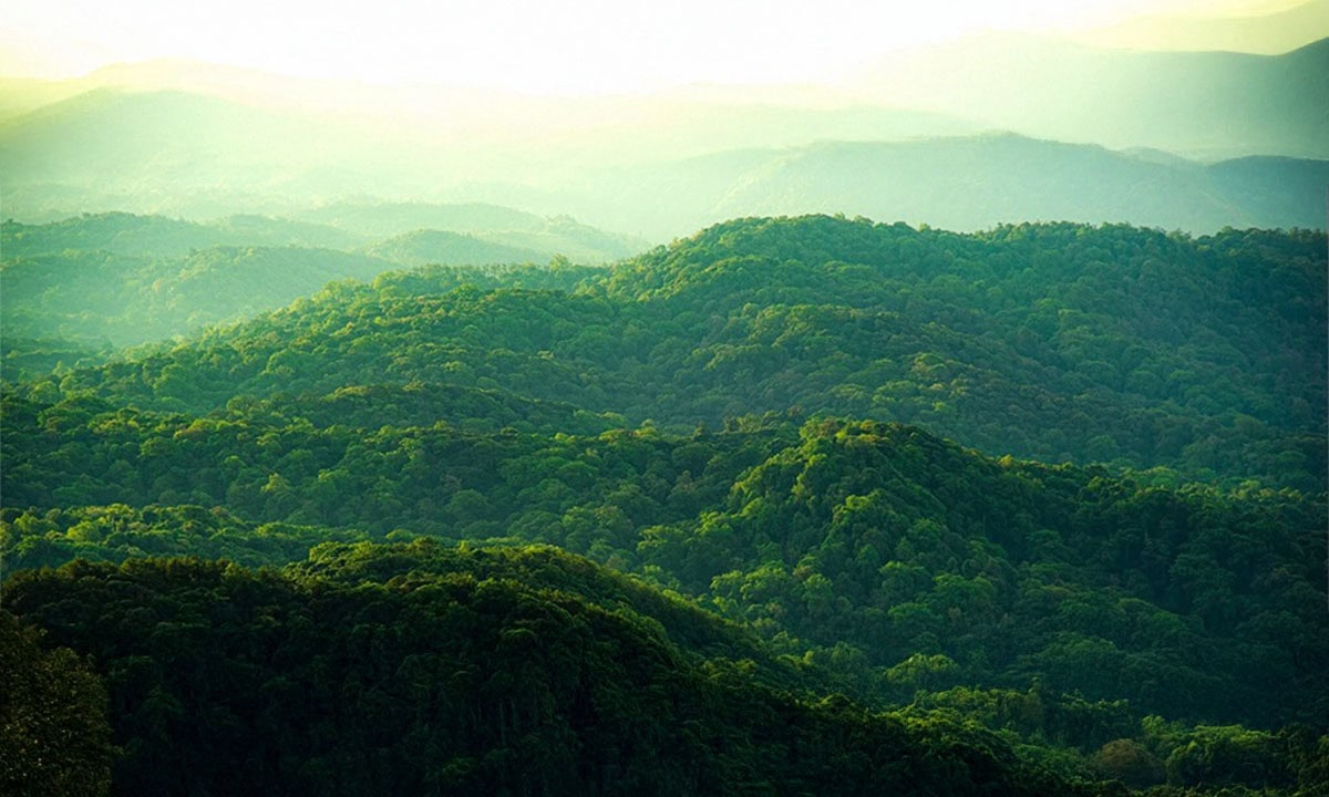 Dell E2425HS Monitör H5