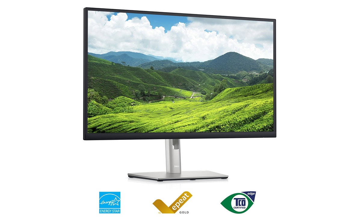 Yeşil düşünce: bugün ve yarın için