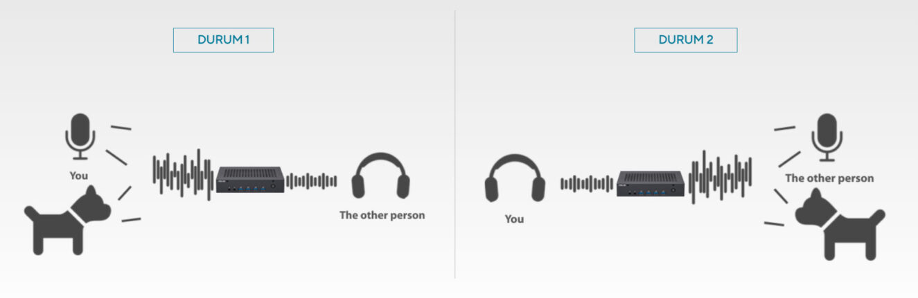 ASUS ExpertCenter PN43-BBN100MD Mini Bilgisayar H6