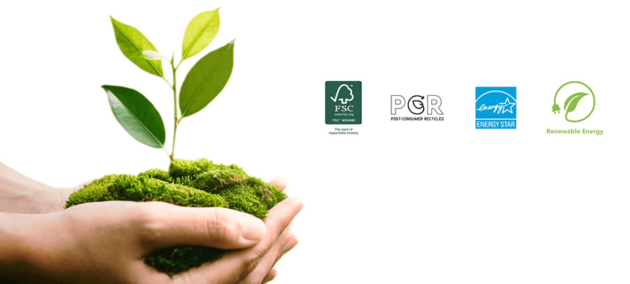 MSI PRO DP80 A14G-003EU Mini Bilgisayar H11