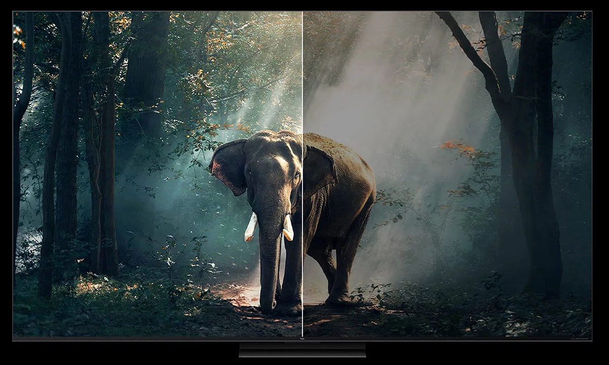  Mükemmel Dengelenmiş Işık ve Gölge