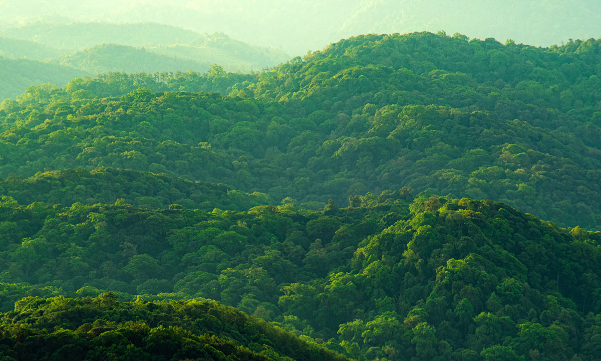 Çevre Dostu Düşünce Yapısı