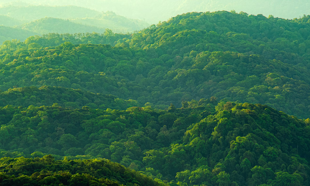 Sürdürülebilirlik Düşünülerek Tasarlandı