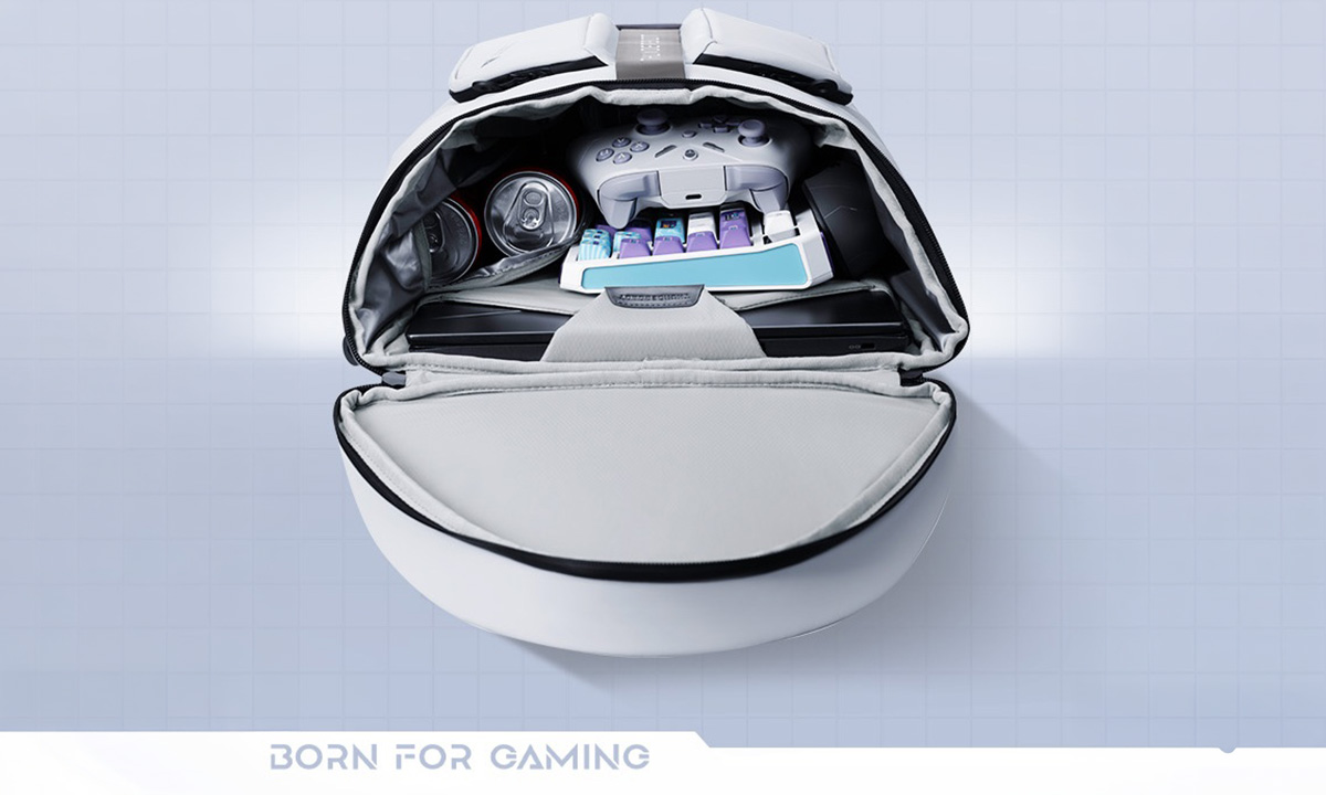 Geniş Tasarım, Büyük Ölçekli Düzenli Depolama