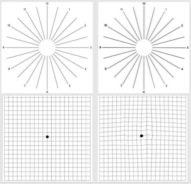MSI PRO MP275QPDG 27 inç 100Hz 1ms 2K WQHD Adaptive Sync IPS Monitör h13