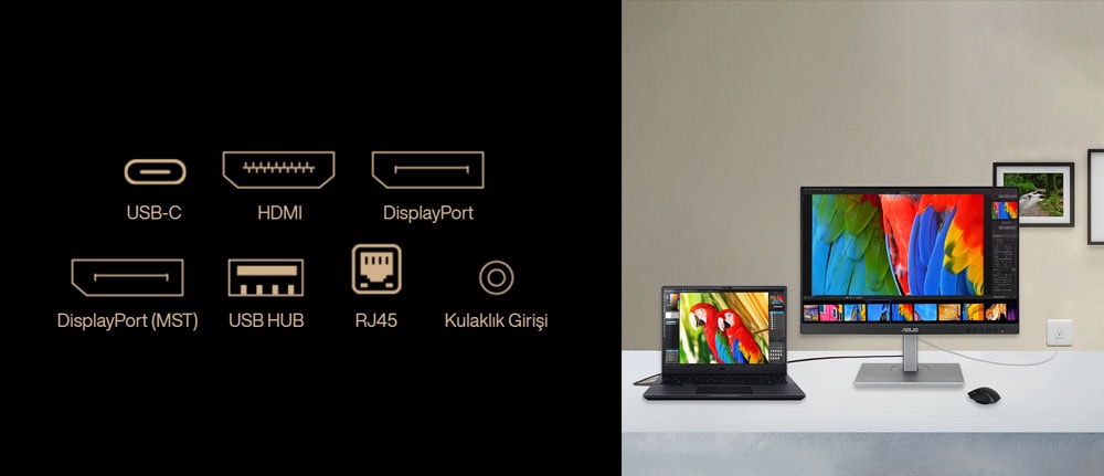 ASUS ProArt Display PA248CNV 24.1 inç profesyonel monitör ve uyumlu dizüstü bilgisayar, yüksek renk doğruluğu ve geniş ekran alanı ile grafik tasarım ve içerik üretimi için ideal.