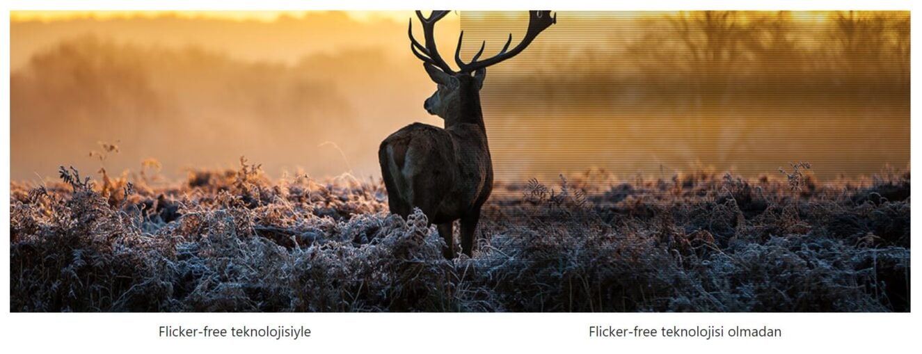 ASUS Proart PA24AC Monitör H9