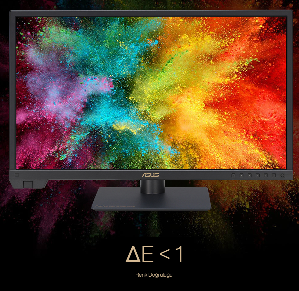 ASUS ProArt PA24US Monitör h16