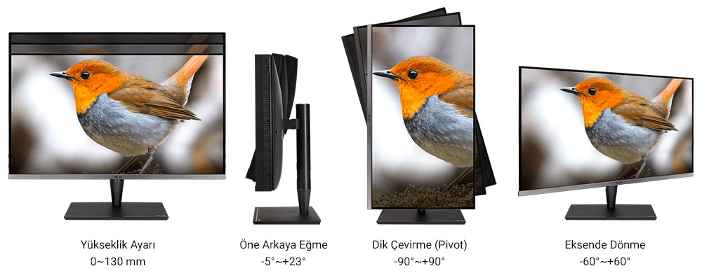 ASUS ProArt Display PA32UCG-K