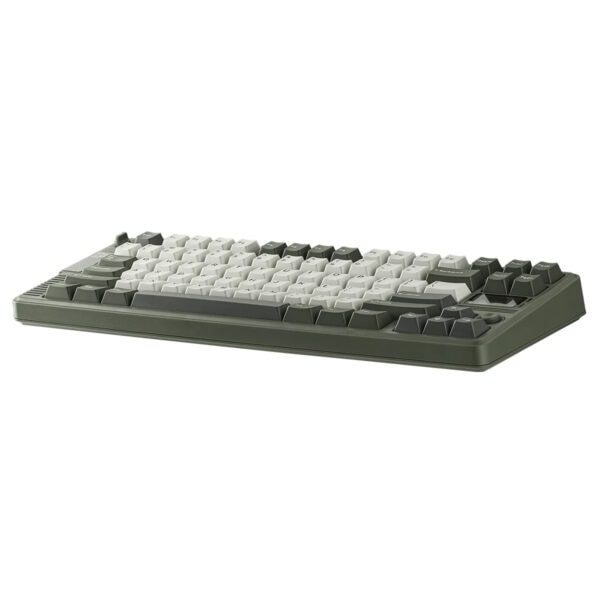 EPOMAKER RT85 Green White Wisteria V2 renkli mekanik gaming klavye, RGB aydınlatma ve hotswap switch özellikleriyle öne çıkar. Kablosuz kullanım imkanıyla oyun ve ofis deneyimini artırır.