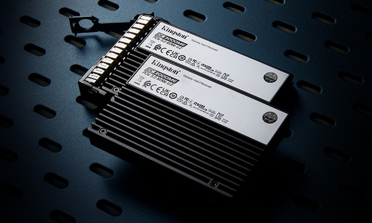 Kurumsal PCIe 5.0 Performansı