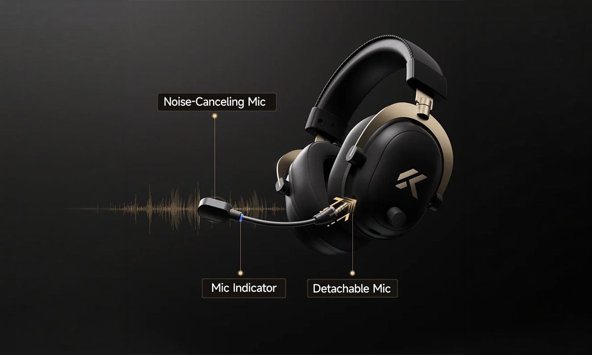 Net, Profesyonel Seviye Mikrofon