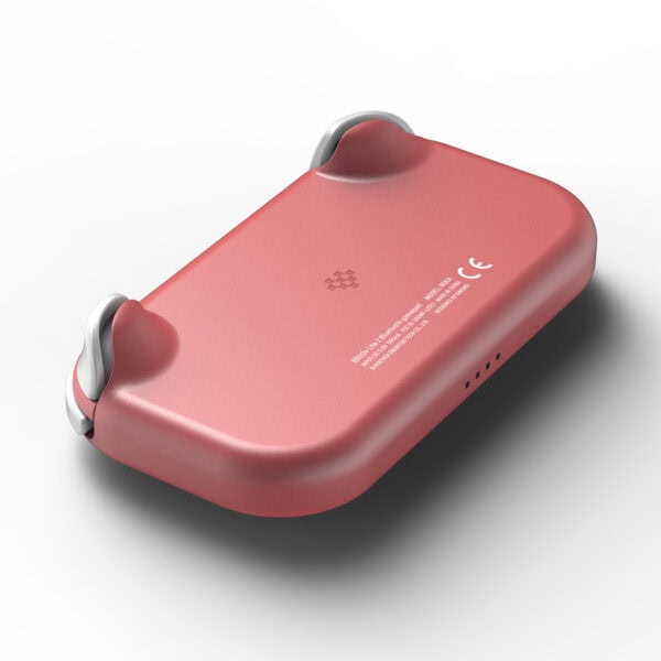 8bitdo Lite 2 Pembe Nintendo Switch Destekli Bluetooth Gamepad Fc9