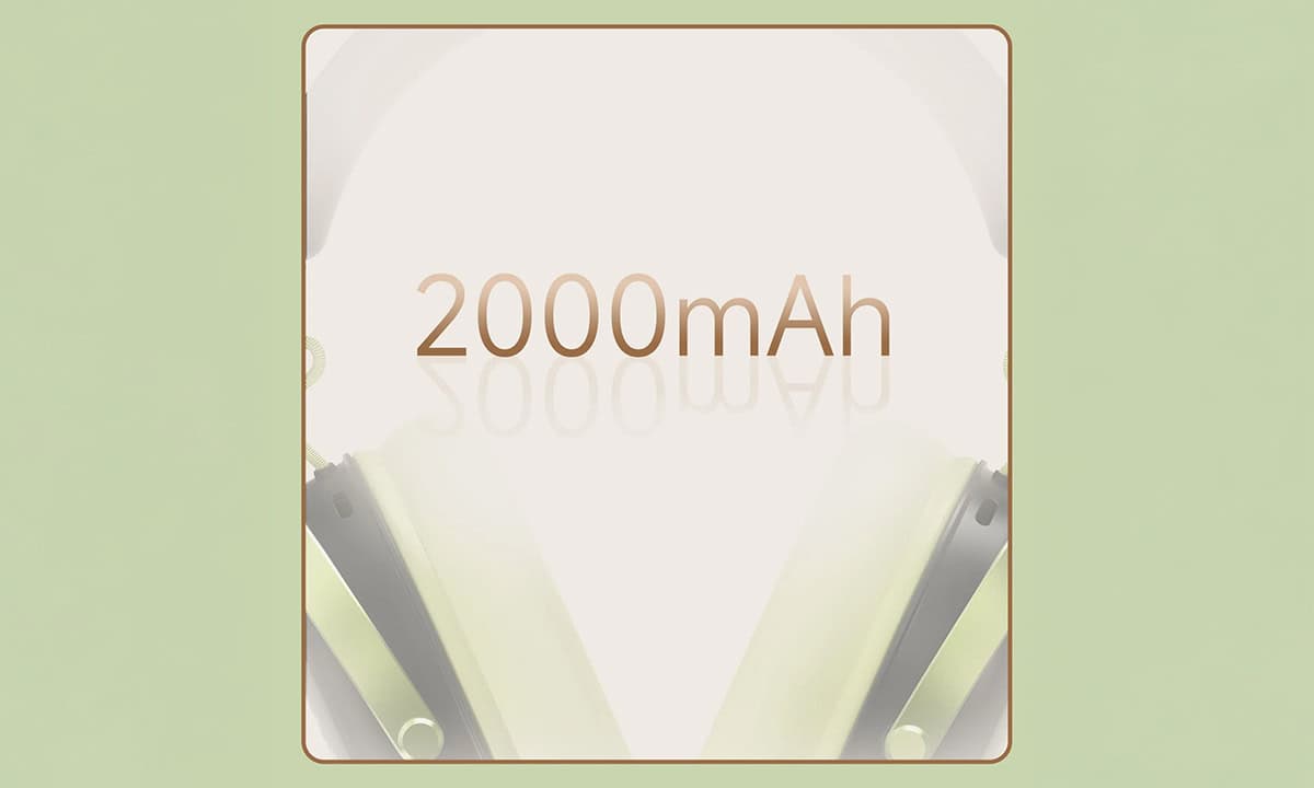 2000 mAh pil