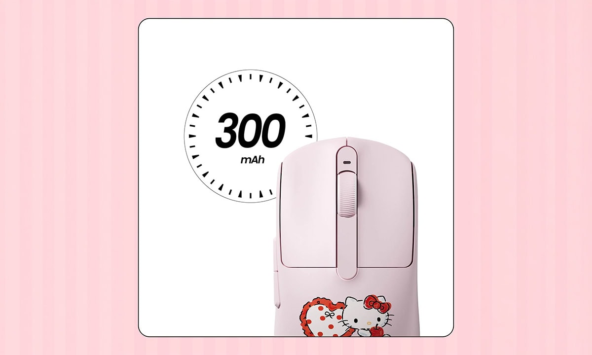 300 mAh pil